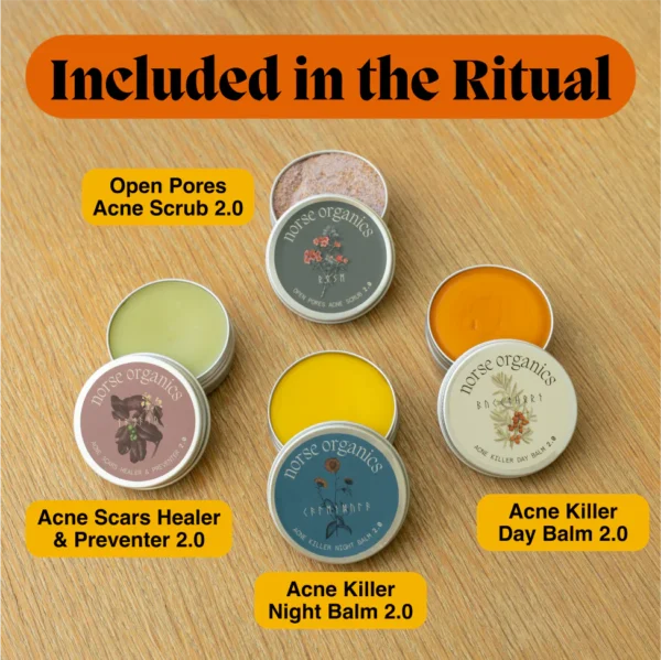 The Complete Acne Killer System 2.0